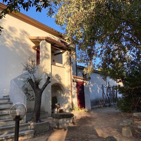 Taddore Green Lodge Galtellì 外观 照片