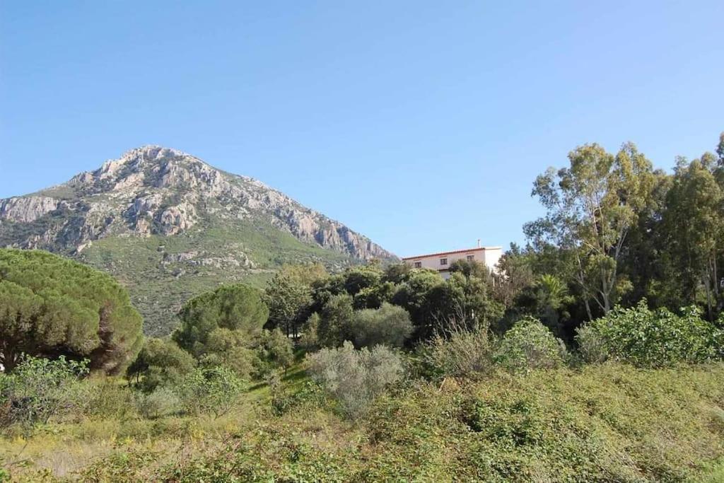 Taddore Green Lodge Galtellì 外观 照片
