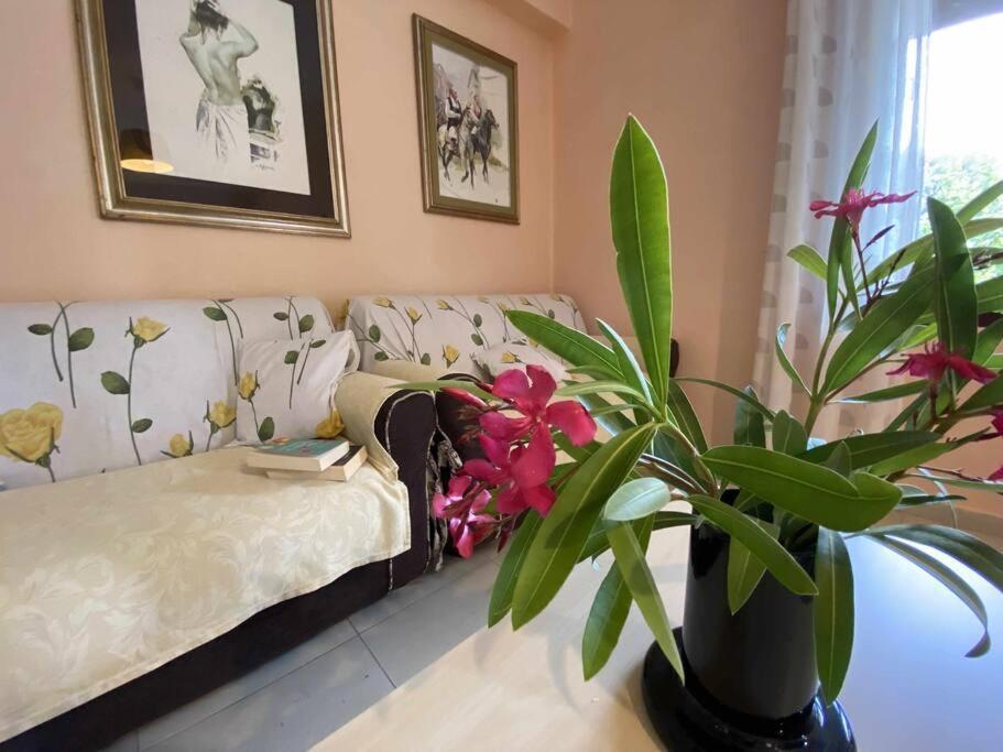 Taddore Green Lodge Galtellì 外观 照片