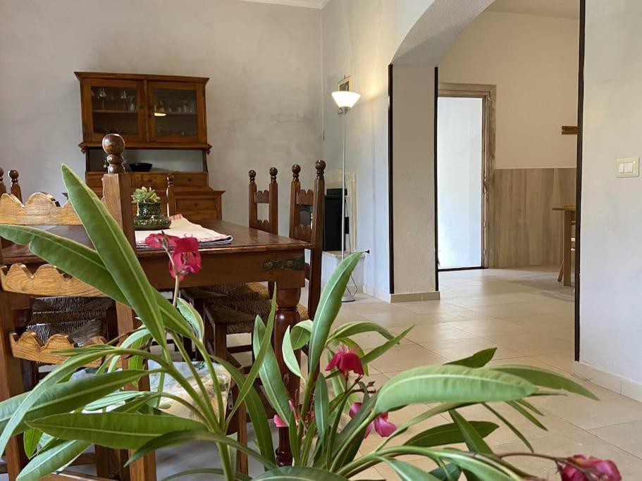 Taddore Green Lodge Galtellì 外观 照片