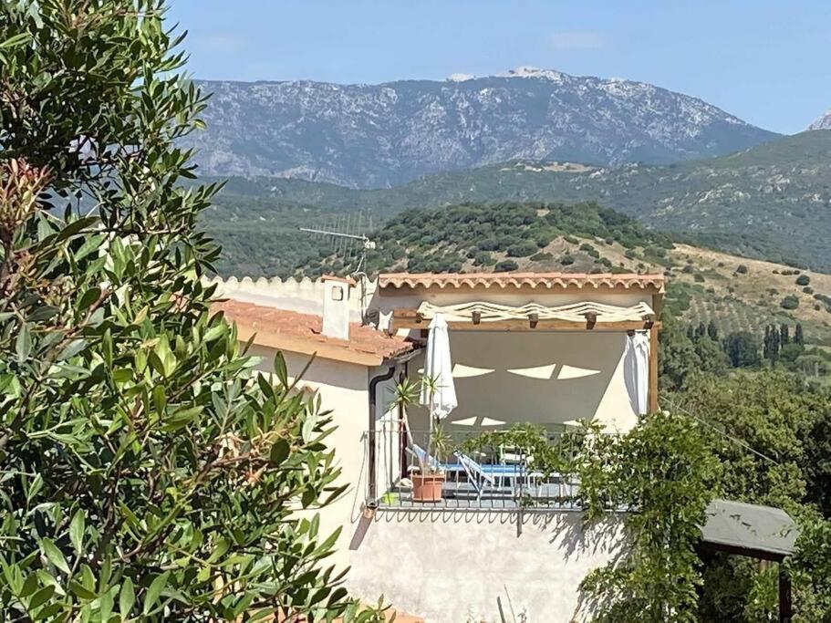 Taddore Green Lodge Galtellì 外观 照片